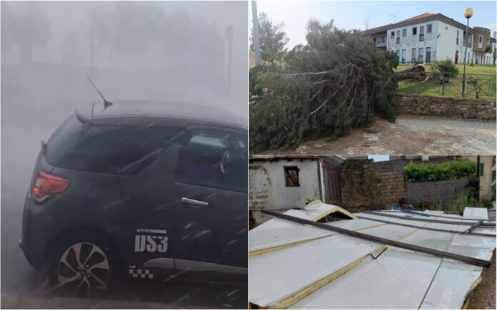 Mirandela apanhada de surpresa por vendaval em tarde de calor extremo