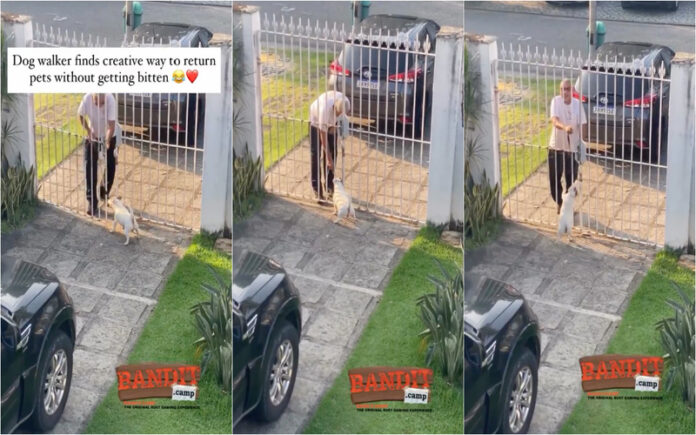 Tática insólita evita dentada de cão teimoso