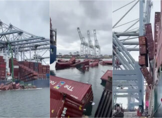 Contentores caem de navio português e espalham mercadoria em Los Angeles