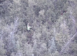 Mulher resgatada após se perder em floresta nos EUA