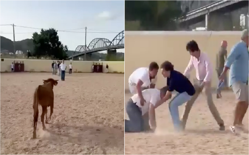 Paulo Núncio colhido por bezerro em garraiada do CDS em Vila Franca de Xira