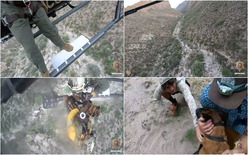 Herói de quatro patas: Cão resgatado em ravina por helicóptero no Arizona