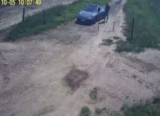 Homem no Brasil finge assalto e queima o próprio Porsche mas acaba apanhado em vídeo