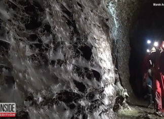 Descoberta histórica: Maior teia de aranha do mundo abriga 110 mil aranhas