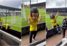 Mascote alcoolizada é retirada de estádio durante jogo da Taça de Inglaterra