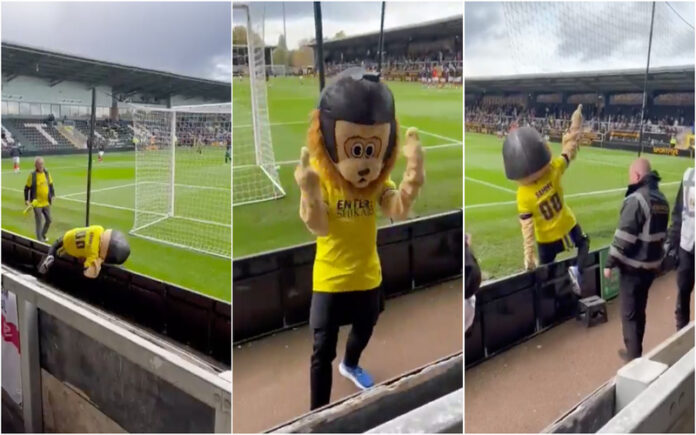 Mascote alcoolizada é retirada de estádio durante jogo da Taça de Inglaterra