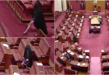 Senadora australiana suspensa após polémico protesto com burca