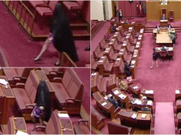 Senadora australiana suspensa após polémico protesto com burca