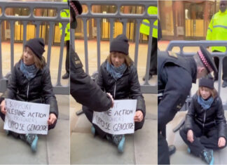 Greta Thunberg detida em protesto pró Palestina no centro de Londres