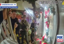 Rena invade loja decorada para o Natal e provoca momentos de tensão