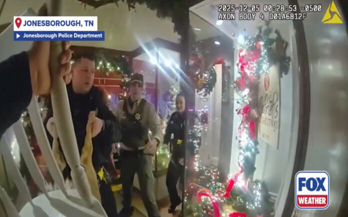 Rena invade loja decorada para o Natal e provoca momentos de tensão