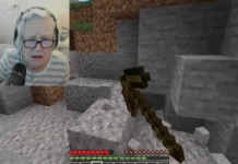 Avó de 81 anos usa Minecraft para apoiar neto na luta contra o cancro