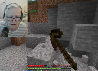 Avó de 81 anos usa Minecraft para apoiar neto na luta contra o cancro
