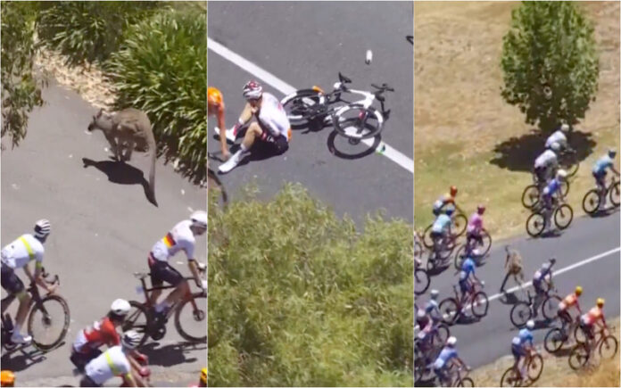 Jay Vine sofre fratura após choque inesperado no Tour Down Under