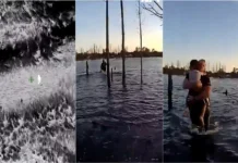 Menino autista resgatado de lago na Florida volta a mobilizar autoridades
