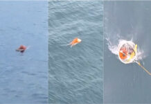 Pescador resiste quase um dia no mar após naufrágio em Santa Catarina
