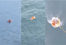 Pescador resiste quase um dia no mar após naufrágio em Santa Catarina