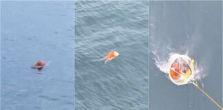 Pescador resiste quase um dia no mar após naufrágio em Santa Catarina