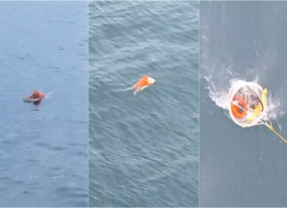 Pescador resiste quase um dia no mar após naufrágio em Santa Catarina