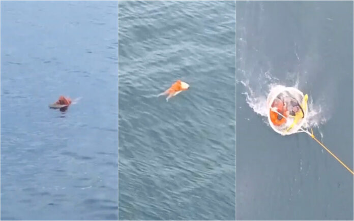 Pescador resiste quase um dia no mar após naufrágio em Santa Catarina