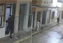 Cão impede sequestro e salva dona de ataque em Valência