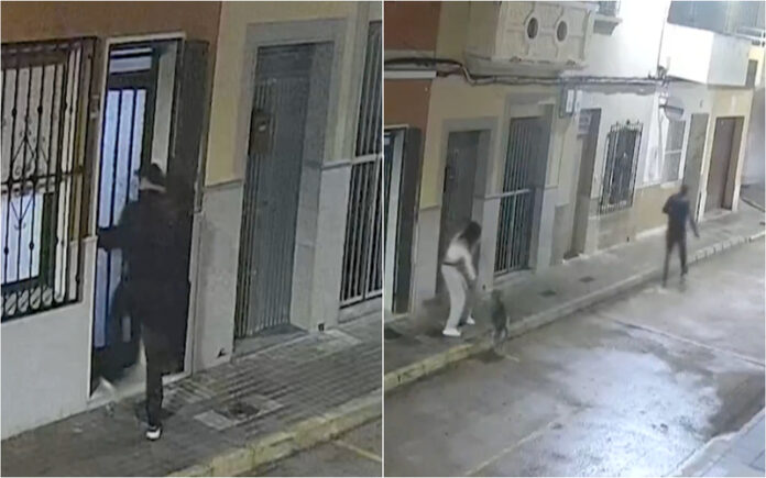 Cão impede sequestro e salva dona de ataque em Valência