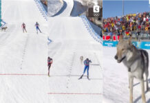Cão invade pista e acompanha esquiadoras até à meta nos Jogos Olímpicos