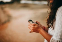 10 pequenas coisas que tornam um dia muito melhor