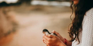 10 pequenas coisas que tornam um dia muito melhor