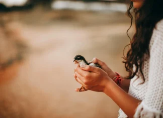 10 pequenas coisas que tornam um dia muito melhor
