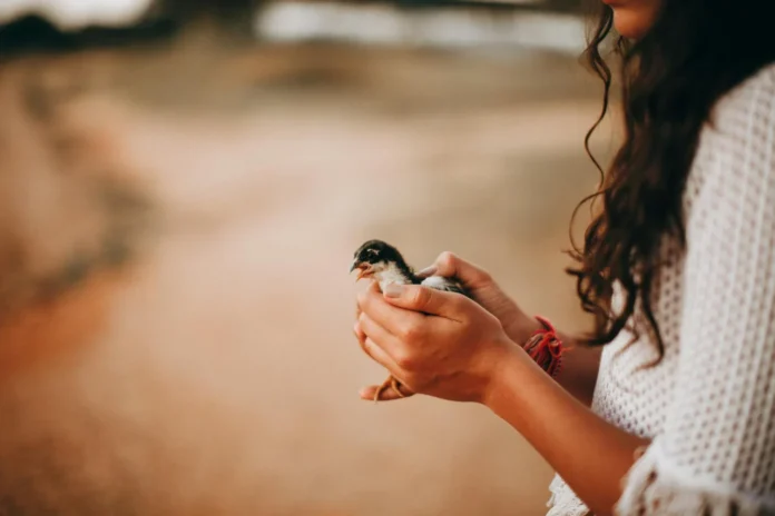 10-gestos-simples-que-transformam-o-dia-e-elevam-o-humor_1774619206