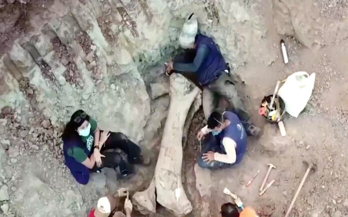 Descoberta de dinossauro gigante no Brasil reforça ligação entre continentes antigos