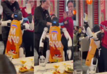 Robô descontrolado causa confusão em restaurante na Califórnia