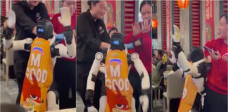 Robô descontrolado causa confusão em restaurante na Califórnia