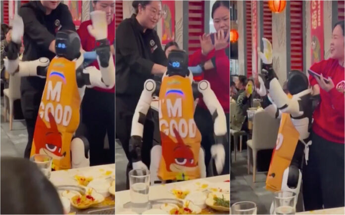 Robô descontrolado causa confusão em restaurante na Califórnia
