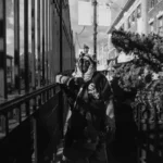 fws-slide-2-1774741597