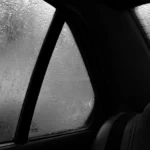 fws-slide-7-1774618017