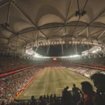 fws-slide-8-1774618526