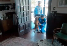 Astronauta regressa a casa e protagoniza reencontro emocionante com a sua cadela