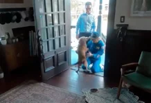 Astronauta regressa a casa e protagoniza reencontro emocionante com a sua cadela