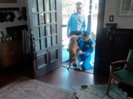 Astronauta regressa a casa e protagoniza reencontro emocionante com a sua cadela