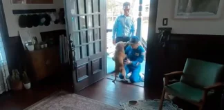 Astronauta regressa a casa e protagoniza reencontro emocionante com a sua cadela
