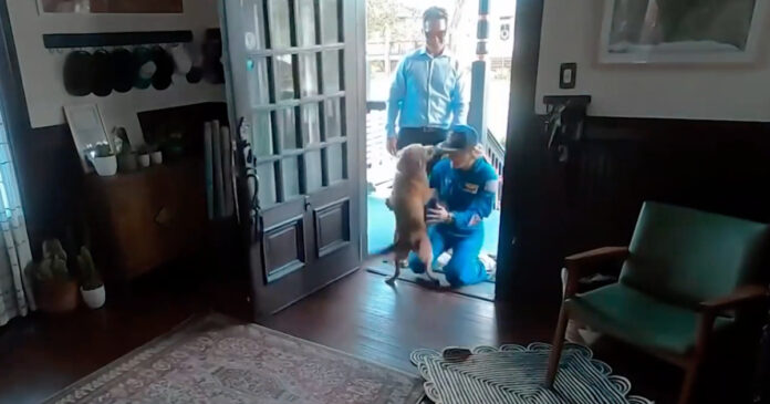 Christina-Koch-reencontra-a-sua-fiel-companheira-que-fica-em-extase-com-a-chegada-da-astraunauta