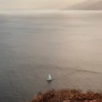 fws-slide-10-1775391445