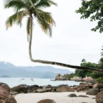 fws-slide-10-1775391630