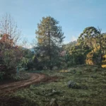 fws-slide-10-1775475901