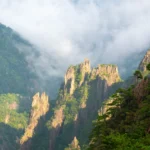 fws-slide-10-1775516083