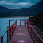 fws-slide-10-1775516460