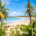 fws-slide-10-1775516708