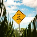 fws-slide-10-1775516948